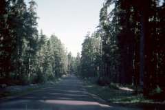 Roto_71_010