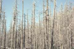 Roto_71_011