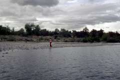 Roto_71_019
