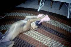 Roto_73_007