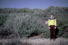 Roto_75_011