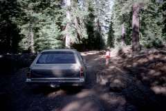 Roto_76_010