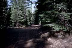 Roto_76_011
