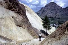 Roto_77_010