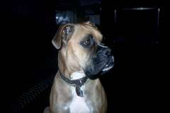 Roto_79_007