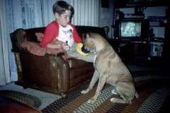 Roto_79_013