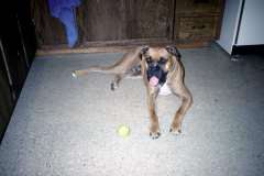 Roto_79_016