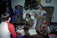 Roto_80_002