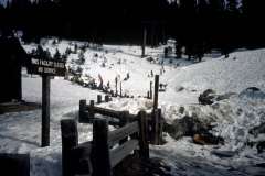 Roto_81_001