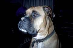 Roto_81_015