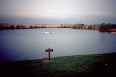 Roto_82_012