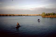 Roto_82_014