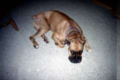 Roto_82_019