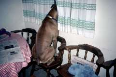 Roto_84_029