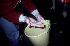 Roto_86_008