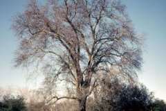 Roto_87_004