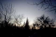 Roto_87_007