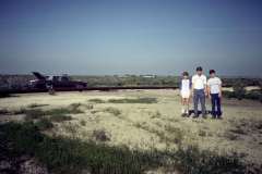 Roto_88_010