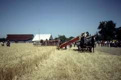Roto_89_010