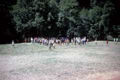 Roto_09_009