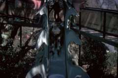Roto_09_016