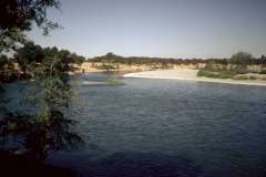 Roto_90_008