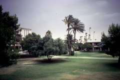Roto_90_020