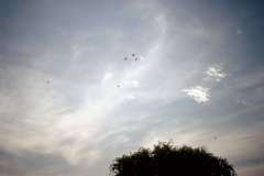 Roto_96_0024