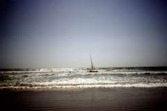 Roto_97_012