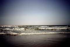 Roto_97_014