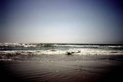 Roto_97_015