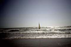 Roto_97_019