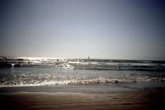 Roto_97_021